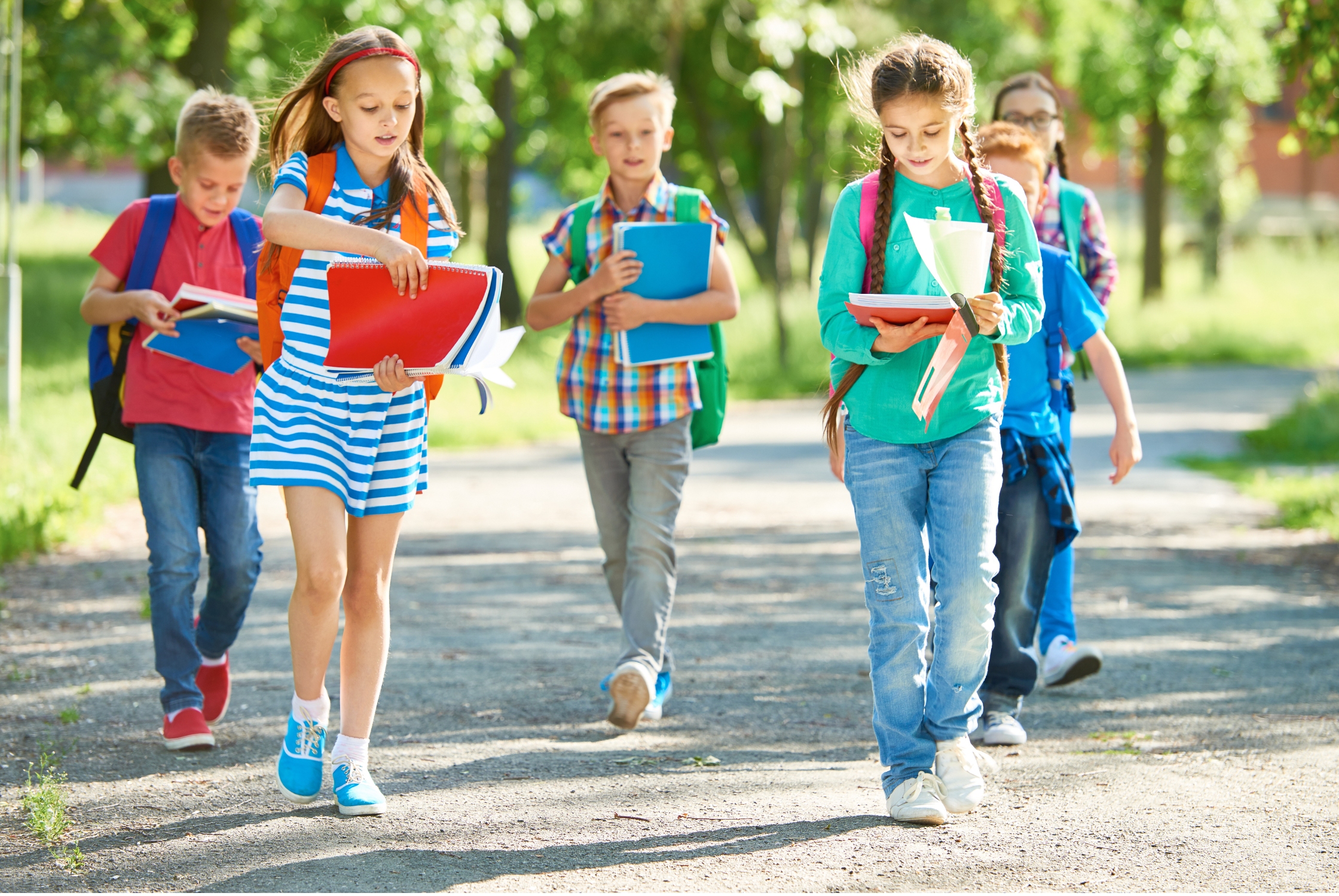 greater victoria bc school catchments impact on real estate values